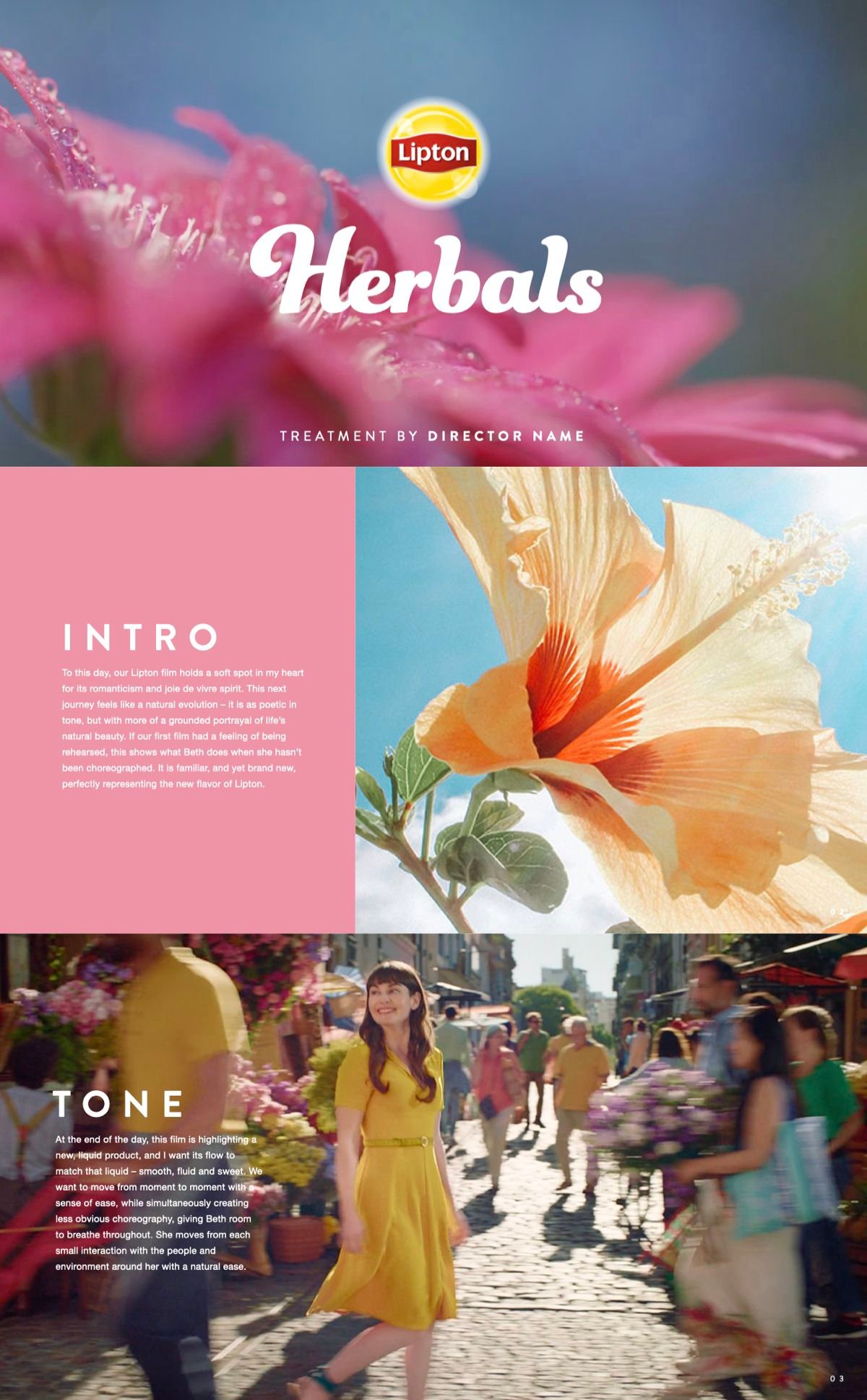 Presentations - Presentations sample 11